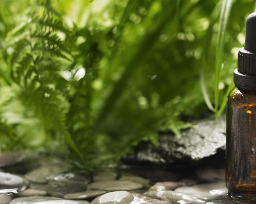 Использование растительных экстрактов в косметике: топ-7 востребованных растений и их свойства